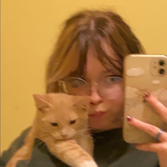 Meet your Posher, Victoria - Picture 1 of 1